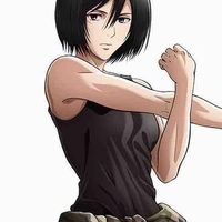 Mikasa Ackerman 