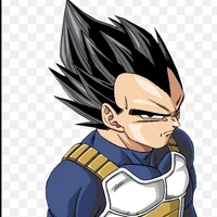 Vegeta Oujie O.P.D.