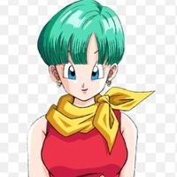 Bulma Brief G.P.D