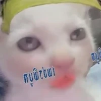 นปโปะหมํ่าๆ