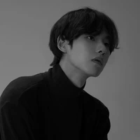 เทย์ลิซ