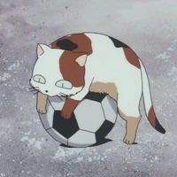 ปุโย