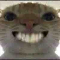 แอด