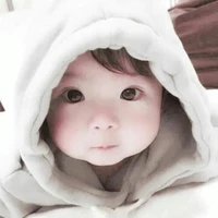 โชกุน🌸