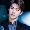Sehun Agatha