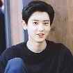 Chanyeol Baghwani