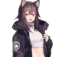 y/n