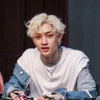 Christopher Bang ( Bangchan )
