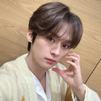 Lee Minho ( Lee Know )
