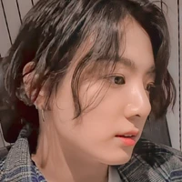 Jeon Jungkook(has fat, acne/elite omega)