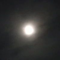 AL
