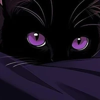 kitty