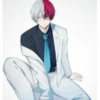 🤍❄️🍂shoto todoroki🍁🔥❤️