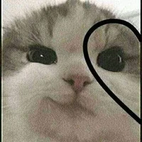 เเอด