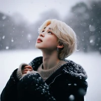 Park Jimin (O)