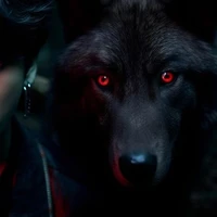 UK (lobo de JK)