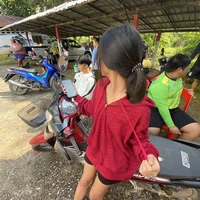 แมว