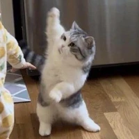 แอด