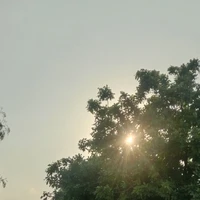All