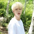 seok jin