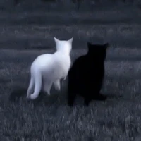 คนอ่านสุดน่ารัก🤍