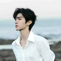 Cheng Zhen yan