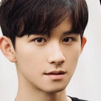 Qi Pei Xin