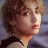 Kim Taehyung (Rare true blood omega)