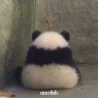 ระบบ