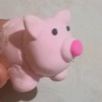 ลูกหมู🐷