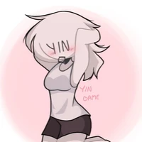 Y/n