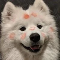 แอดเอง!!