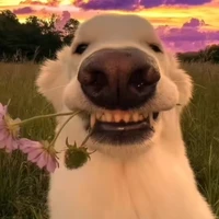 ʕ ͡° ʖ̯ ͡°ʔ บีต๋อย !