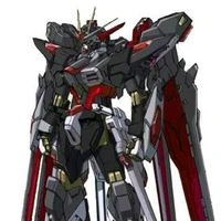 ฟรีด้อมแบล็กกันดั้ม(GAT-X)