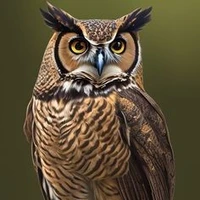 Mr.owl