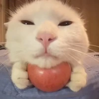 ชมพู่