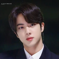kim seokjin/omega