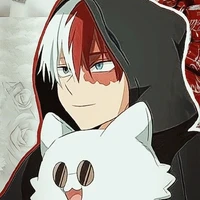 TODOROKI (O.P)