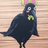corvo kasugai