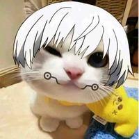 แมวอินุมากิ