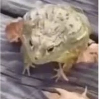 มูฮ่าๆ​//ตัวละครลับ