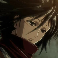 Mikasa ackerman