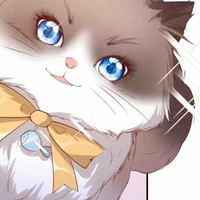 Le chat 