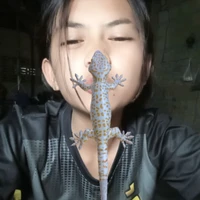 เเเอดดดดด