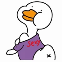Author - Ms. Duck from Viet Nam ❤