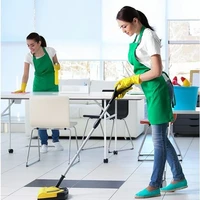 Cleaning service