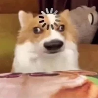 ไม่มีใครเอา