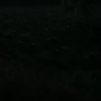 พ่อของทั้งสอง