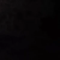 แม่ของทั้งสอง