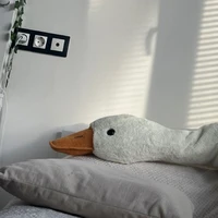 👀👀